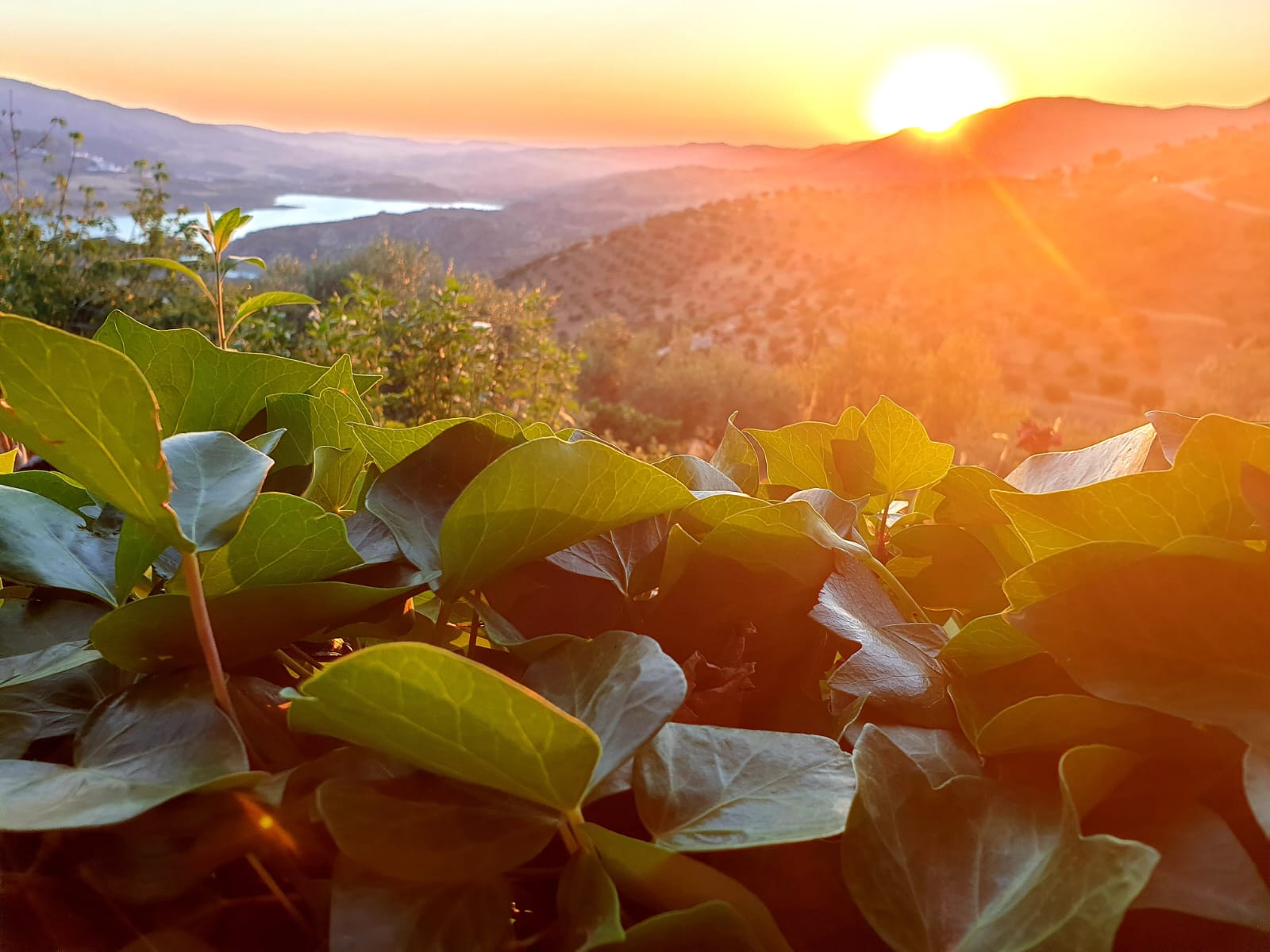 Salida de Sol